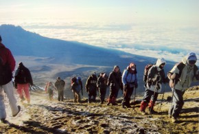 Click here to view enlarged version