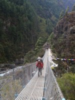 Click here for enlarged version