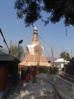 Click here for enlarged version