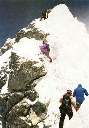 Click here to view enlarged version