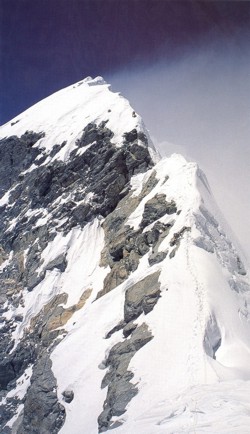 Click here to view enlarged version