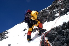 Click here to view enlarged version