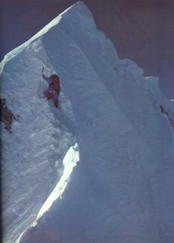 Click here to view enlarged version