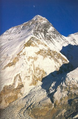 Click here to view enlarged version