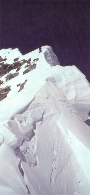 Click here to view enlarged version