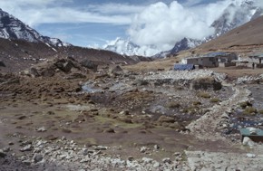 Click here to view enlarged version