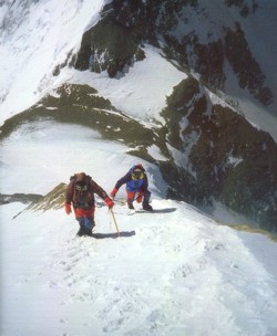 Click here to view enlarged version