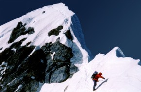 Click here to view enlarged version