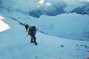 Click here to view enlarged version